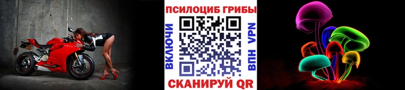 ОМГ ОМГ как войти  Афипский  Псилоцибиновые грибы Psilocybe 